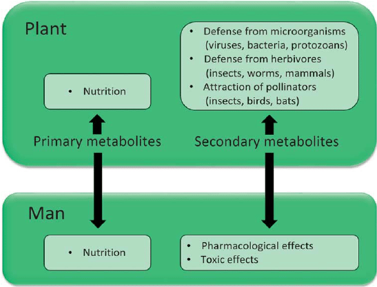 Secondary Metabolites Are of Primary Importance