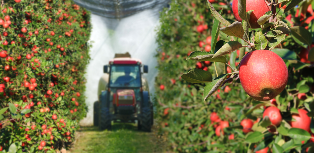 Are Chemical Pesticide Applications Backfiring?