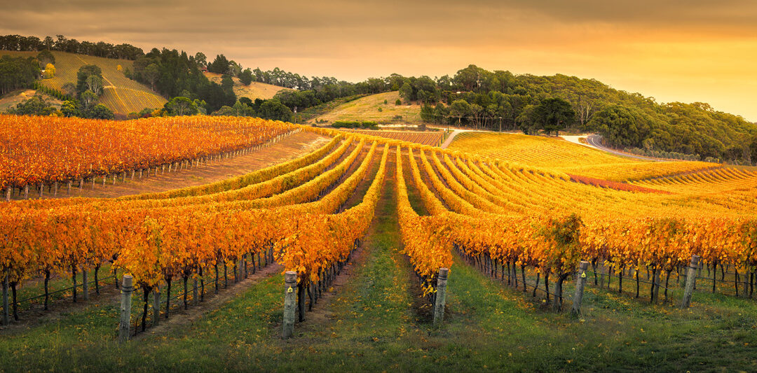 What Really Happens as Your Crops Enter Dormancy