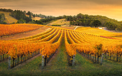 What Really Happens as Your Crops Enter Dormancy