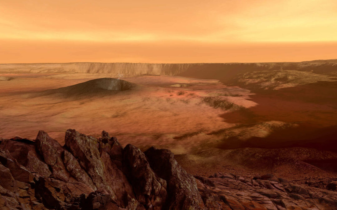 There Are No Plants on Mars