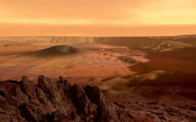 There Are No Plants on Mars