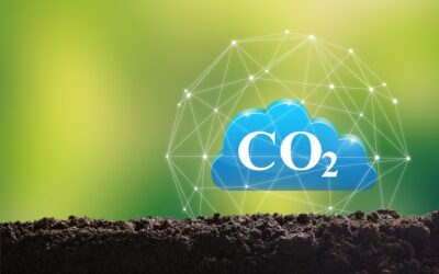 What’s Actually Holding Your Carbon